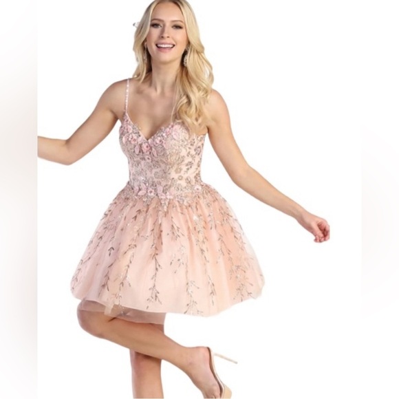 Dancing Queen Blush Pink Gold Embroidered Tulle Floral Mini Dress Size XS - Picture 4 of 16